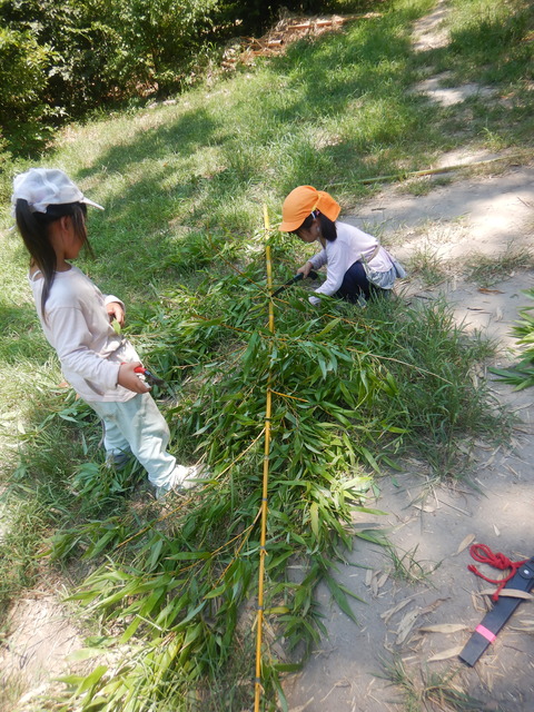 DSCN0043