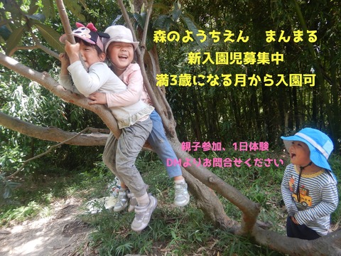 R園児募集