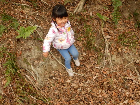 DSCN2317
