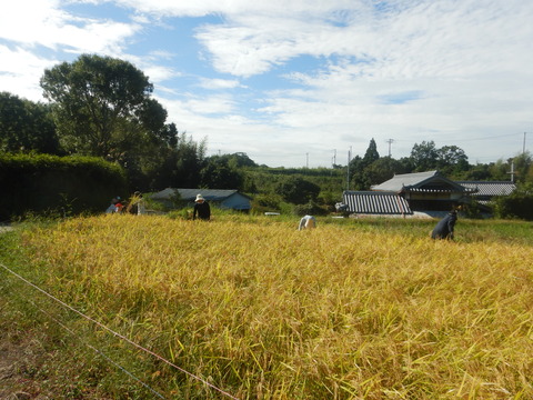 DSCN5120