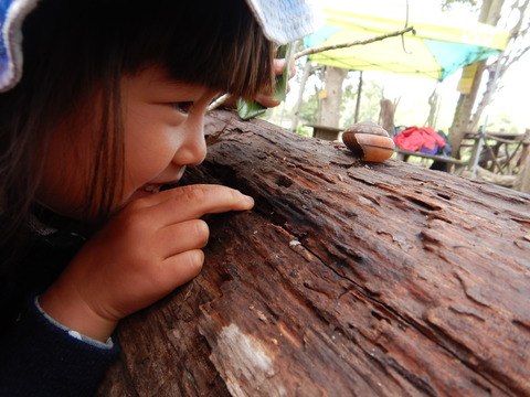 DSCN5741