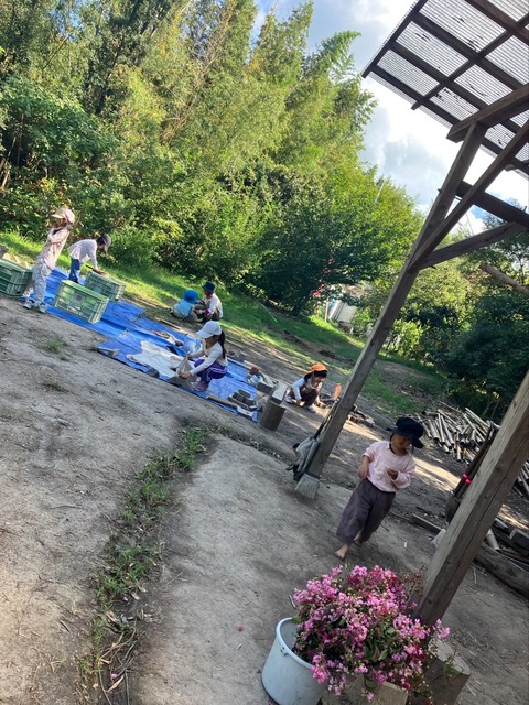 554170792_696499932777307_6058480460800699176_n