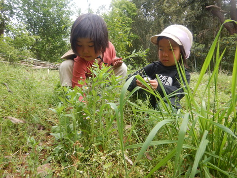 DSCN6571