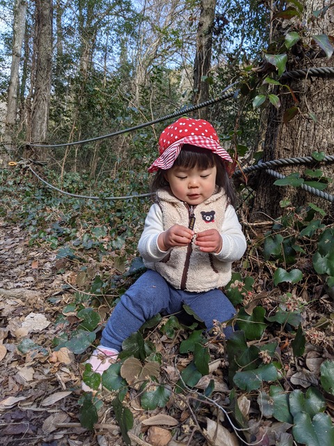 PXL_20210208_020758429