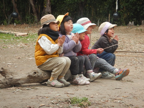 DSCN8183