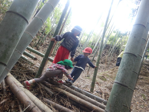 DSCN2317