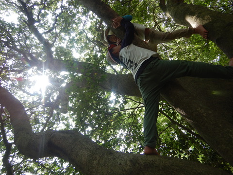 DSCN9713