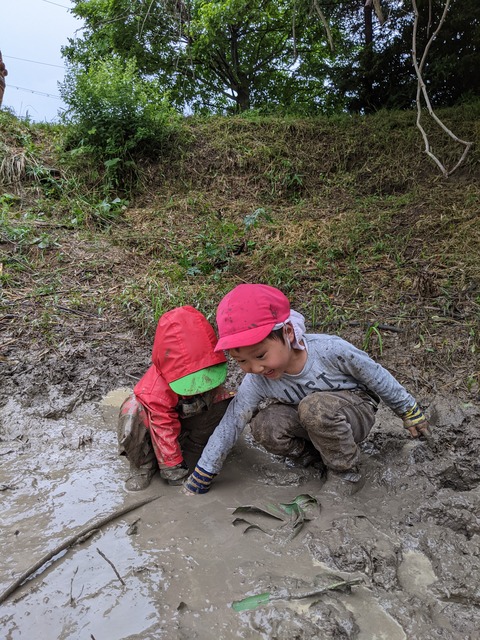 PXL_20210604_053219067