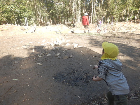 DC05A6A3-DC48-4DF5-B988-7F1B0DFF328A