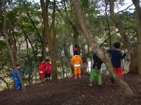 DSCN8965
