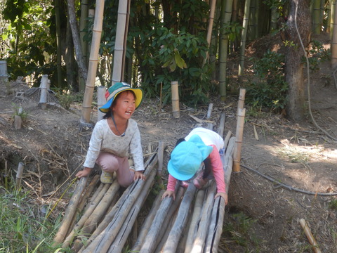 DSCN8750