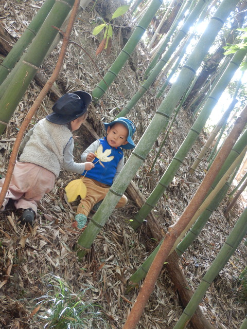 DSCN0616