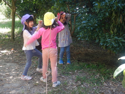DSCN4103