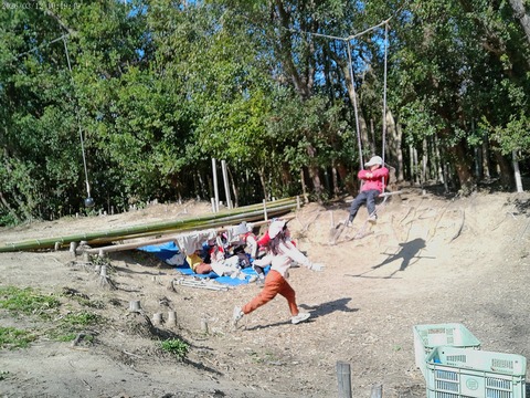 1773310789___4602617_C0450137