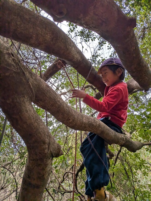 PXL_20260306_024525485