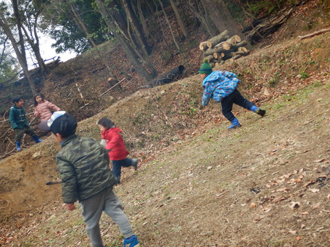 DSCN4638