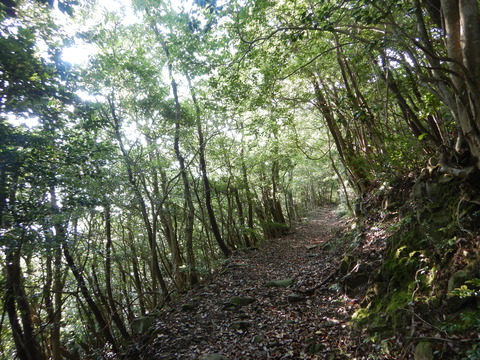 DSCN6374