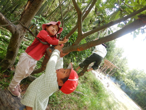 DSCN2517