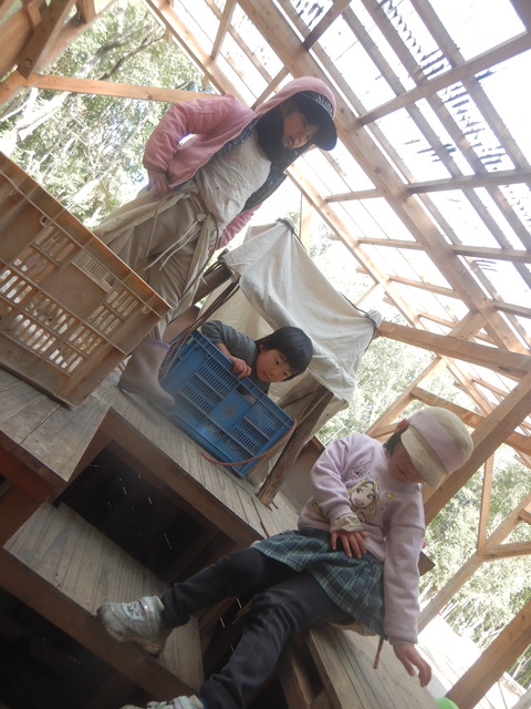 DSCN8760