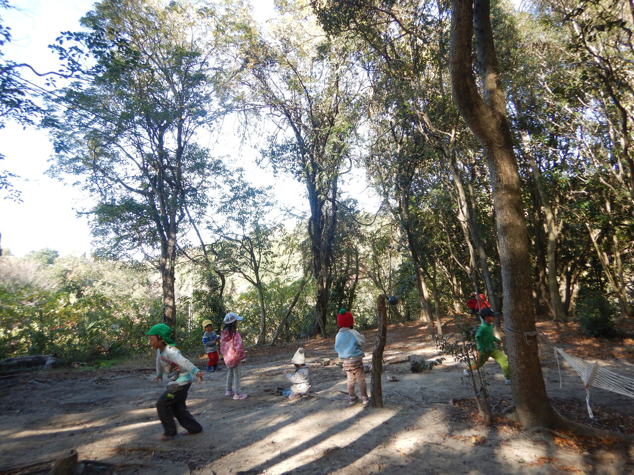 森のようちえん まんまる