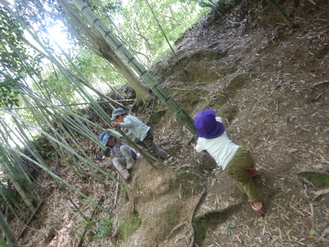 DSCN2462