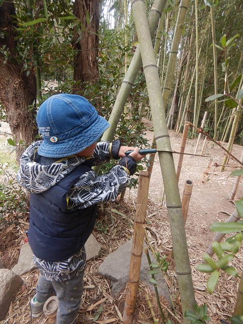 311334E9-09BC-430E-8455-71F81C9FA1B8