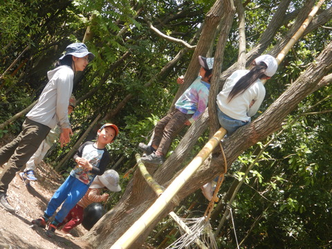 DSCN2010