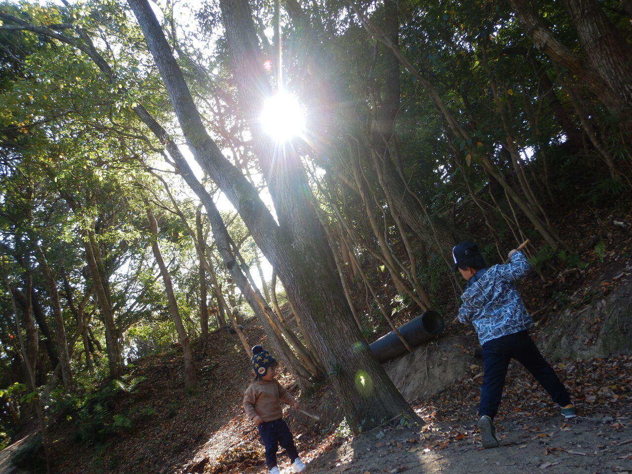 森のようちえん まんまる