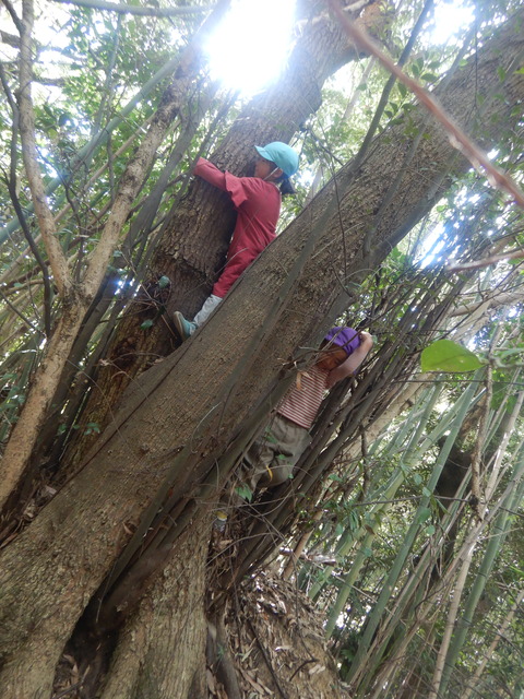 DSCN0609