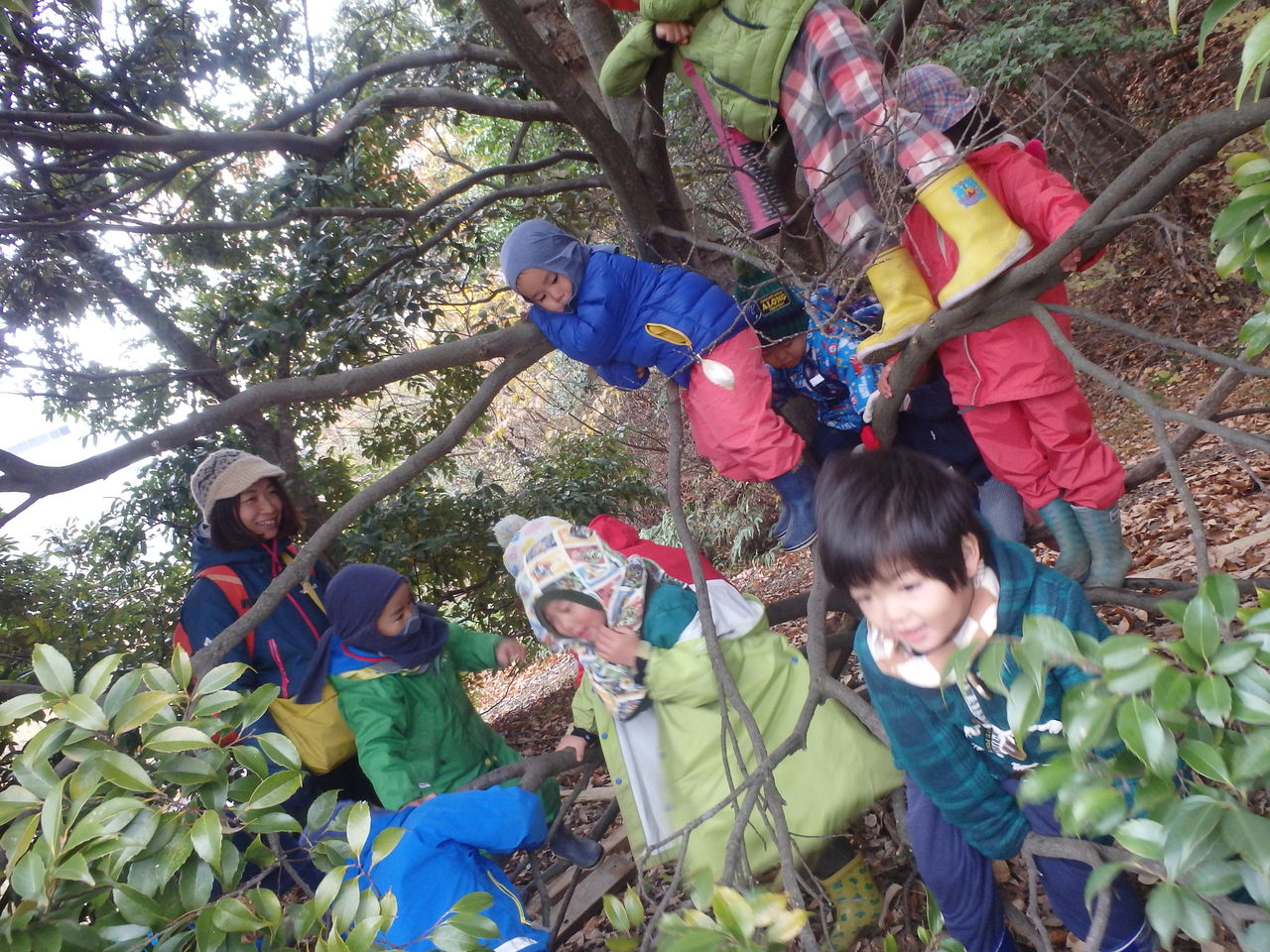 森の遊び舎 わっこ さんに遠足に行ってきました 森のようちえん まんまる