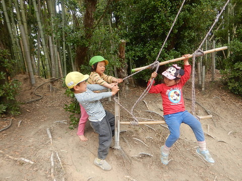 DSCN6793
