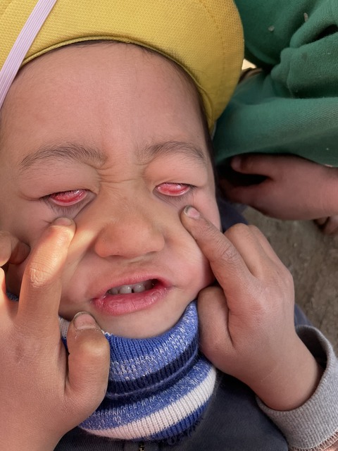 FE6ABA59-550A-4F2D-A84D-CAB81CC86AAA