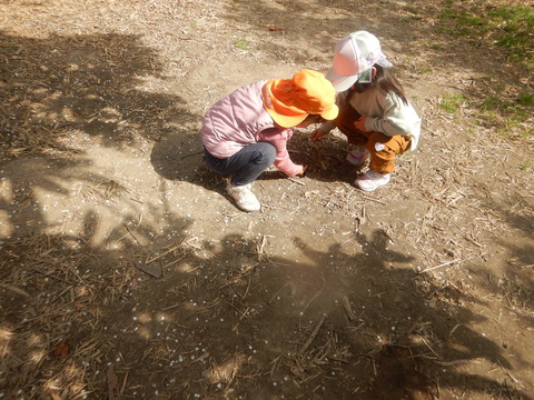 DSCN8867