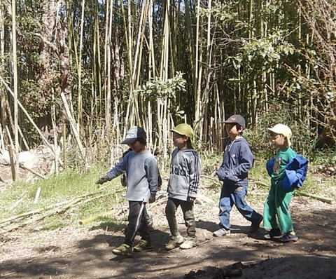 04BFBECB-21C8-4E83-B9D2-DA87542D877B