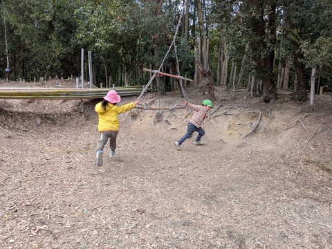 PXL_20260306_041952289