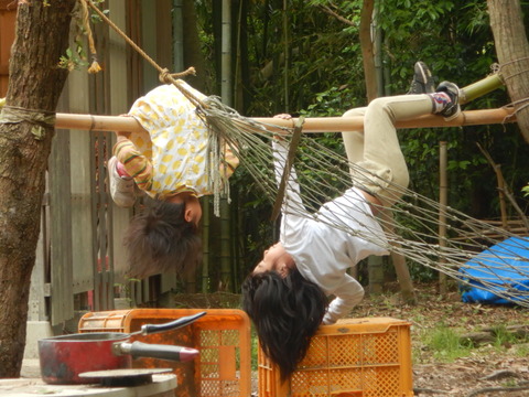 DSCN6792