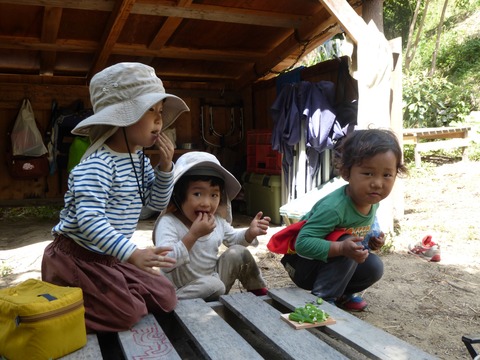 P1070154 b