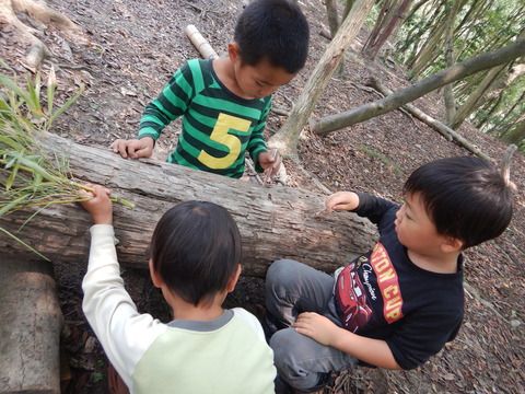 DSCN6321
