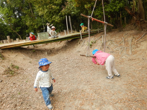 DSCN2239