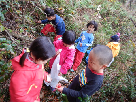 DSCN8970