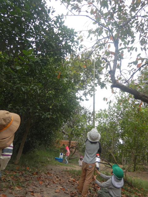 DSCN5154