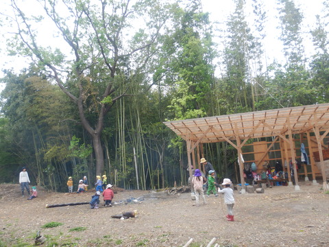 DSCN7262
