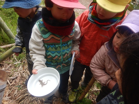 5D78F8D4-F4AD-4E43-830D-94DEE895BF3C