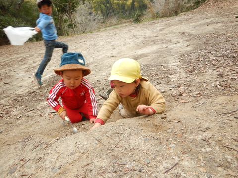 DSCN2378