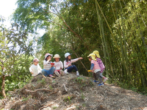DSCN3665