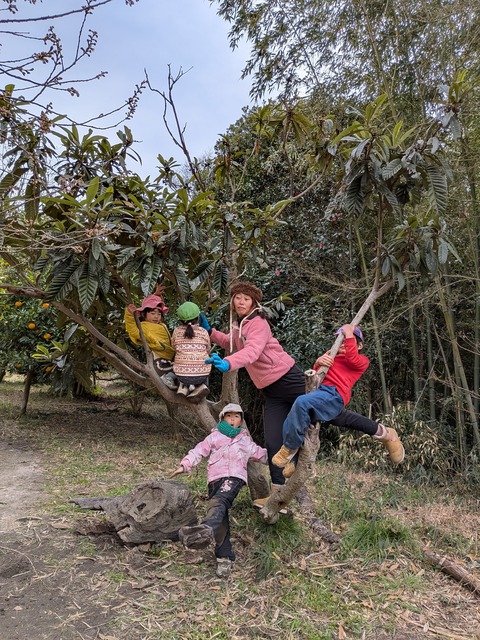 PXL_20260306_020427677