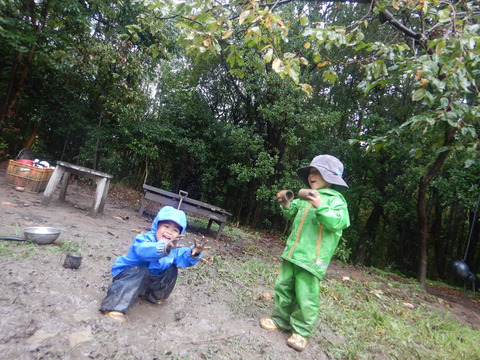 DSCN0078