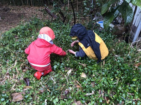 C7375F39-DF75-4A54-B46A-29DB9F51EDA1