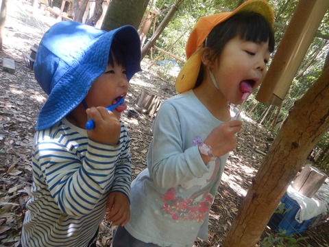 DSCN9759