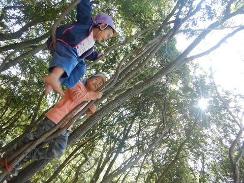 DSCN0067